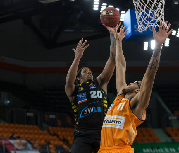 展现的新风 展现的新风